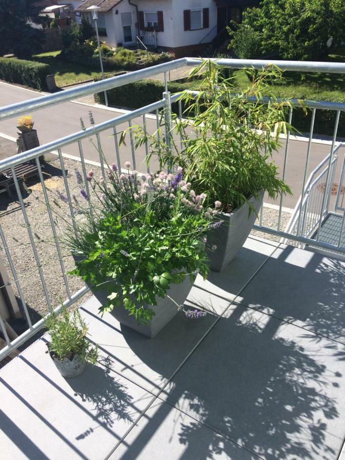 זאלם Ferienwohnung Walk מראה חיצוני תמונה